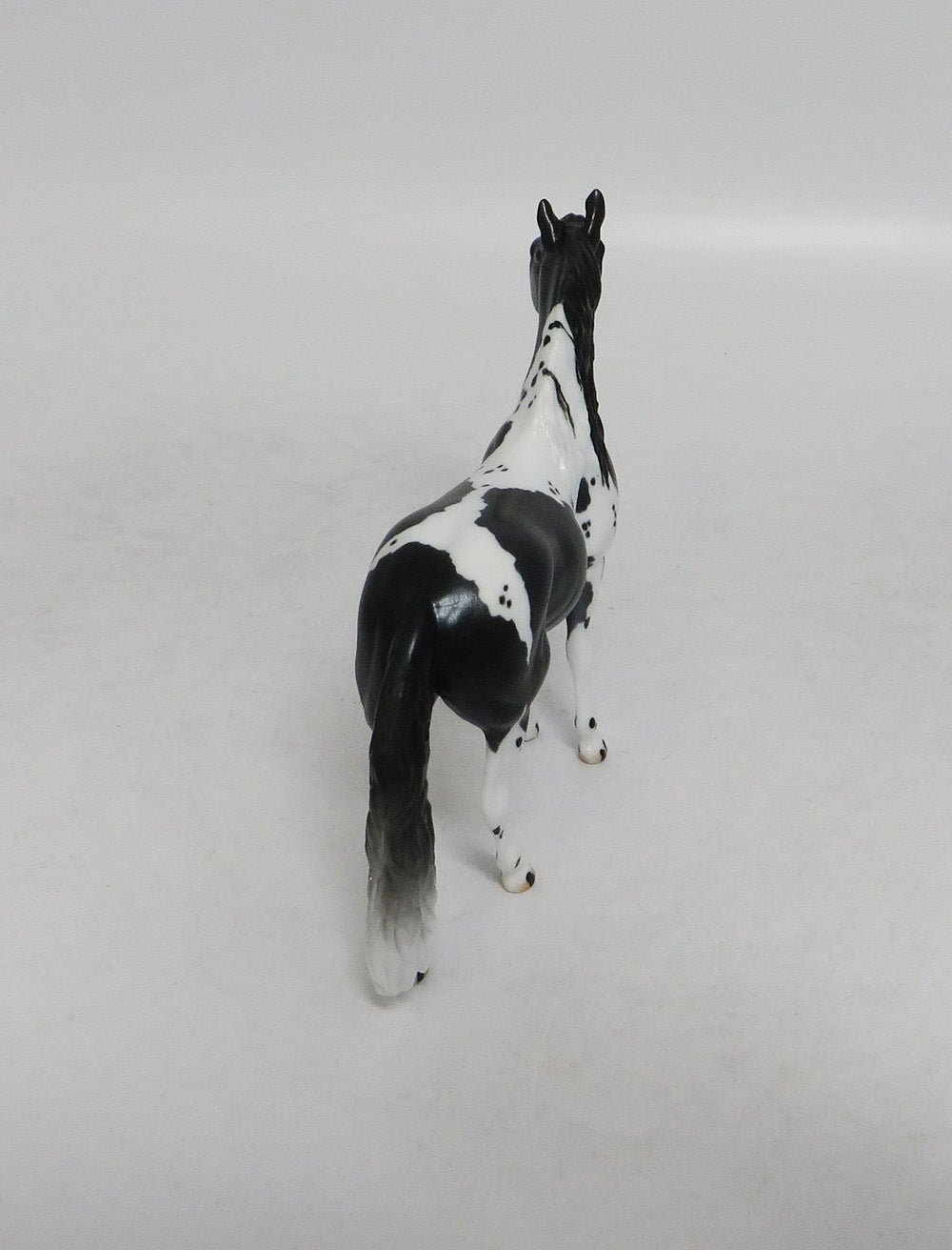 ELAINE ERMINE- LE10 BLACK ANDALUSIAN CHIP NON CUSTOM BY AUDREY DIXON LHS 2018