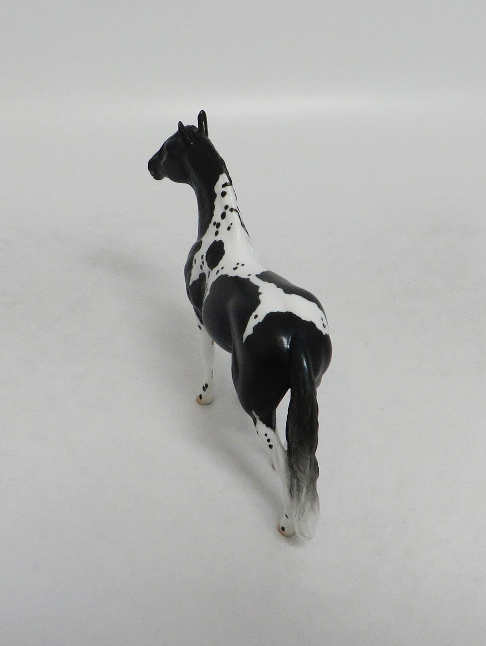 ELAINE ERMINE- LE10 BLACK ANDALUSIAN CHIP NON CUSTOM BY AUDREY DIXON LHS 2018