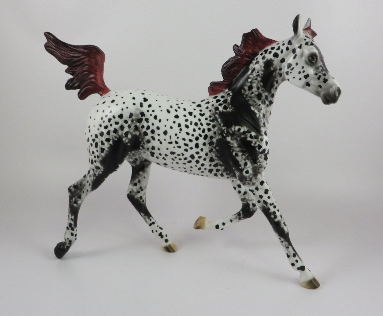 PEARL-OOAK APPALOOSA YEARLING BY AL LHS 19