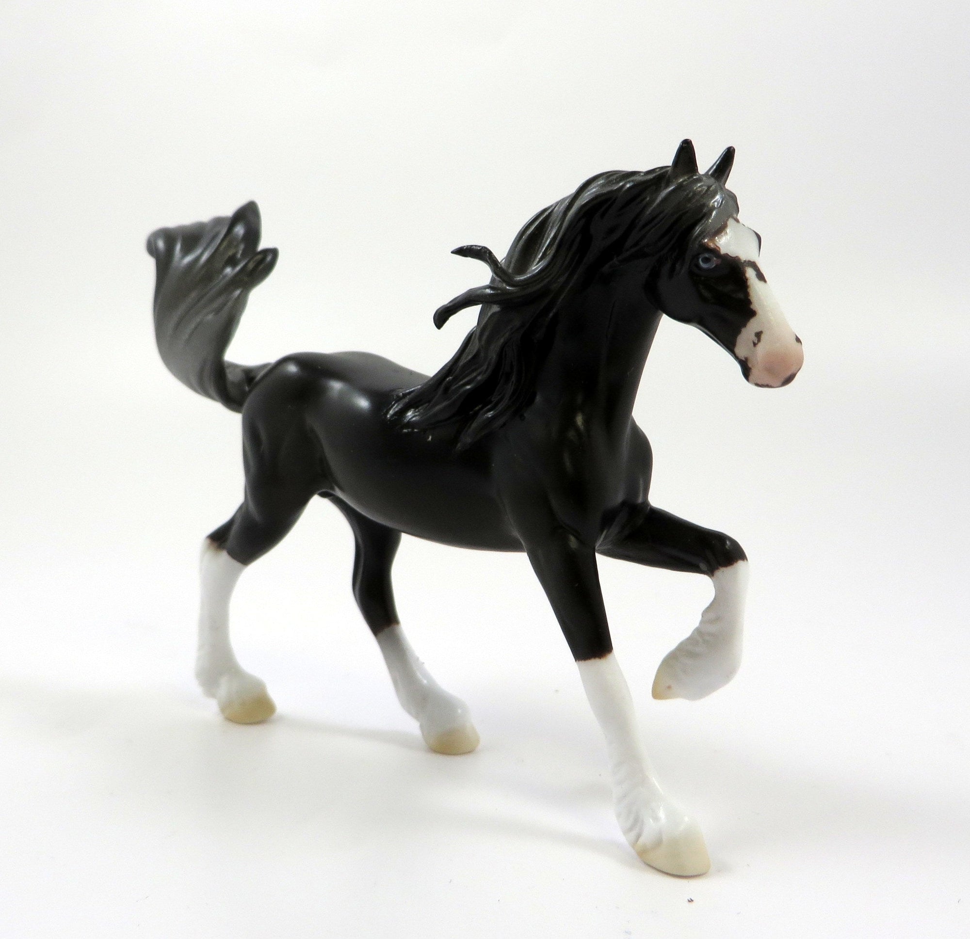 AARAV - LE-3 BLACK FRESIAN CM MANE AND TAIL CHIPS EQ19