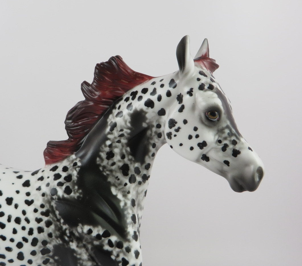 PEARL-OOAK APPALOOSA YEARLING BY AL LHS 19
