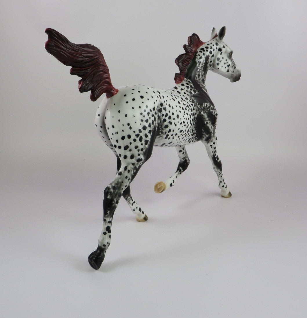 PEARL-OOAK APPALOOSA YEARLING BY AL LHS 19