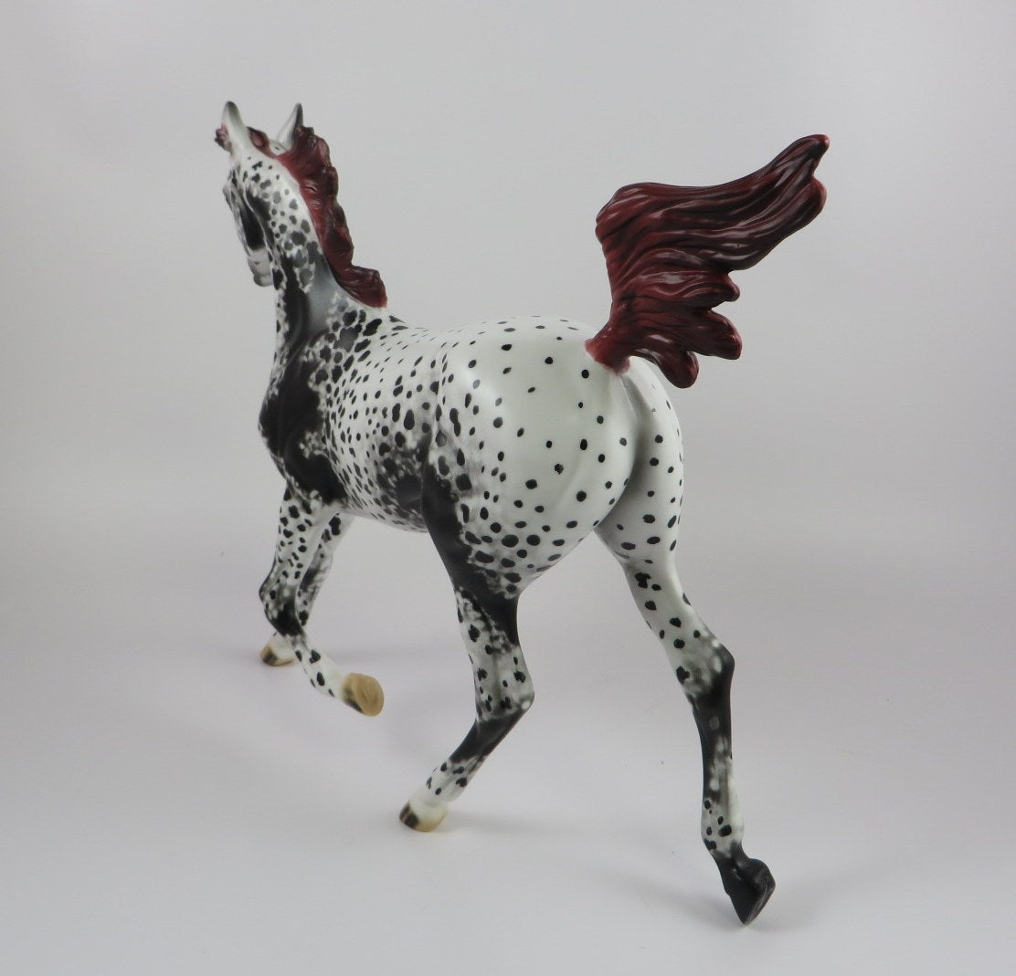 PEARL-OOAK APPALOOSA YEARLING BY AL LHS 19
