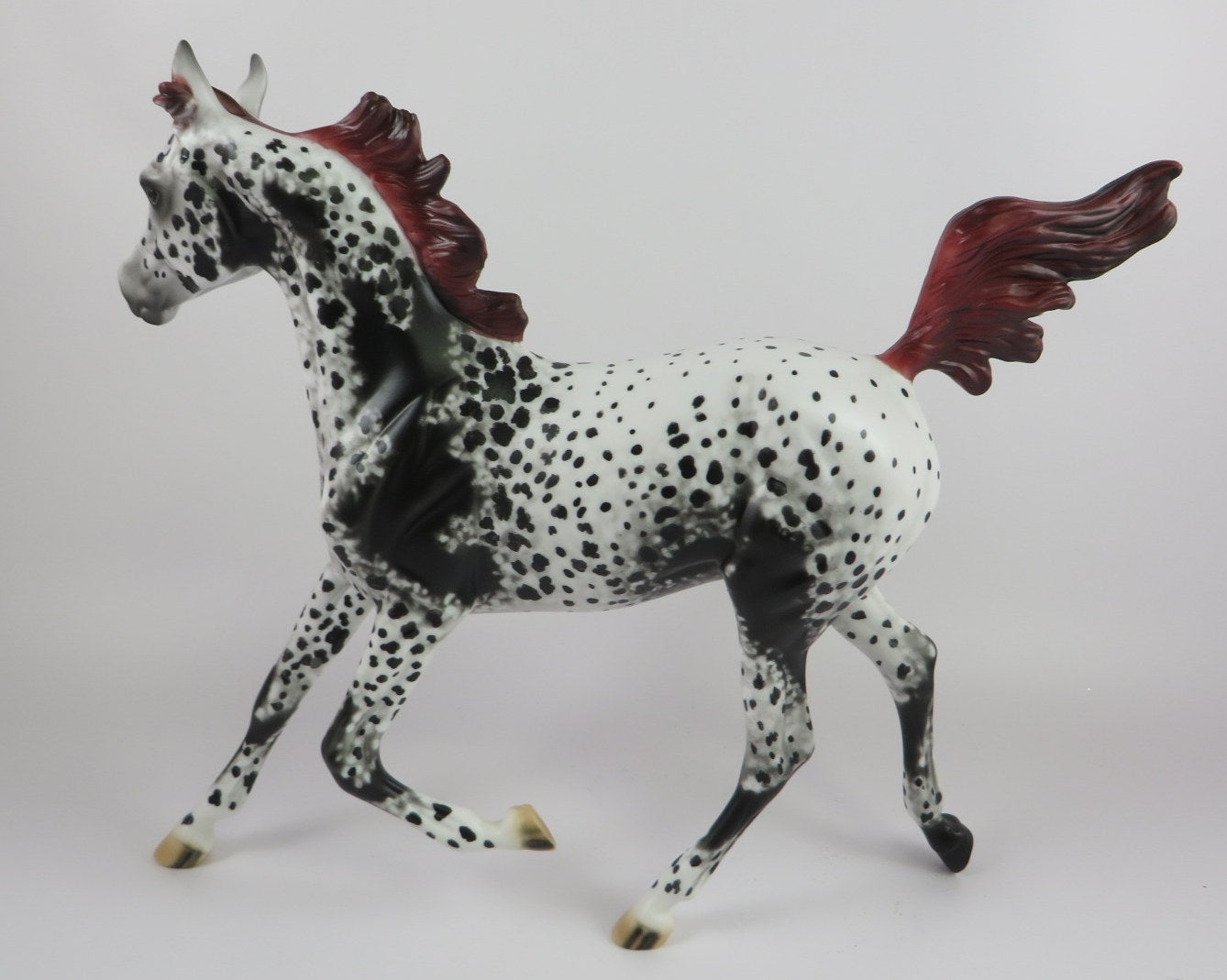PEARL-OOAK APPALOOSA YEARLING BY AL LHS 19