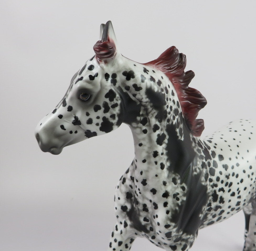 PEARL-OOAK APPALOOSA YEARLING BY AL LHS 19