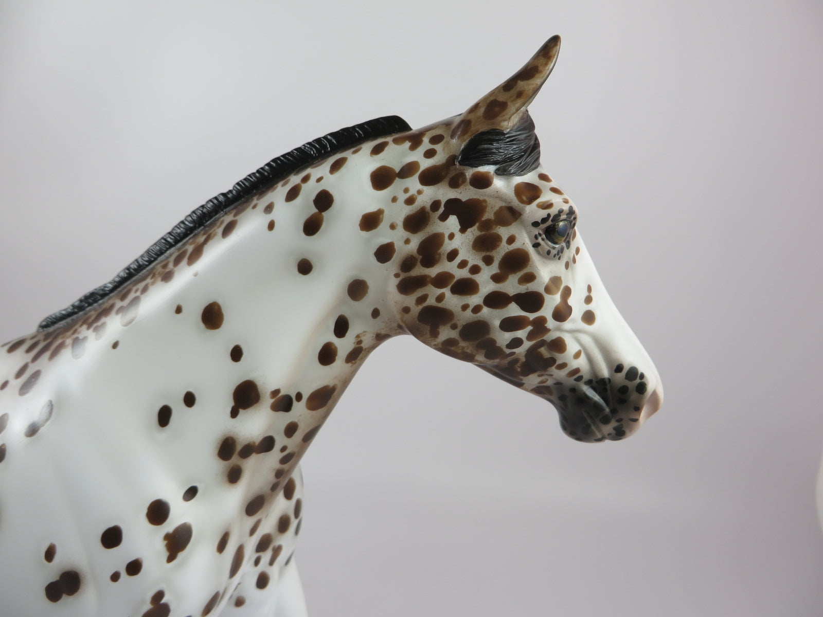 BREEZY -OOAK BAY LEOPARD PALOUSE BY SHERYL LEISURE 9/20/19