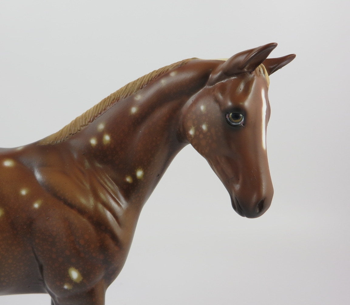 PUMPKIN SPICE-OOAK CHESTNUT SNOWFLAKE APPALOOSA WEANLING LHS 19