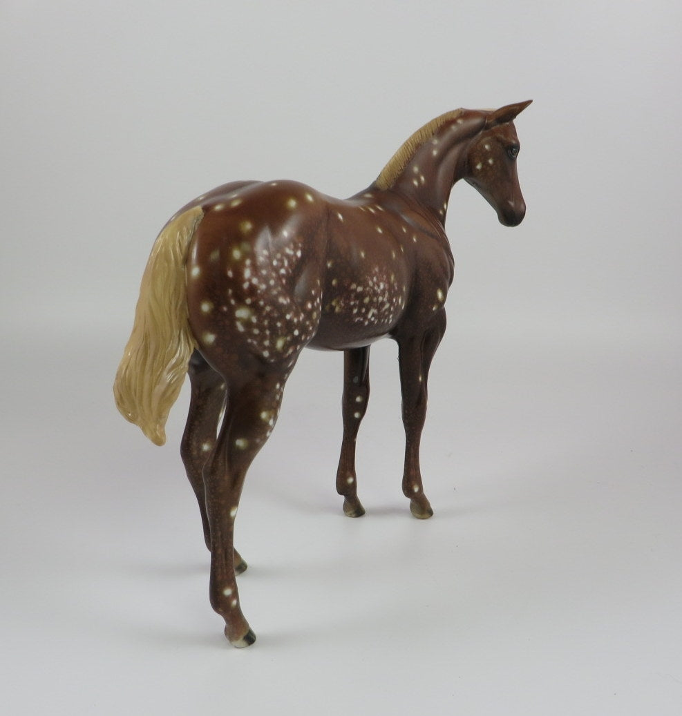 PUMPKIN SPICE-OOAK CHESTNUT SNOWFLAKE APPALOOSA WEANLING LHS 19