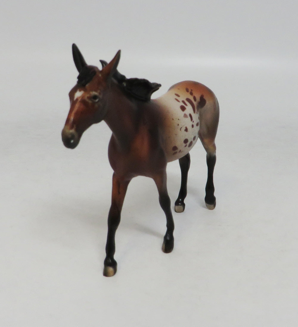 AMANDA APPALOOSA-LE-20 CM BAY APPALOOSA MULE CHIP LHS 201