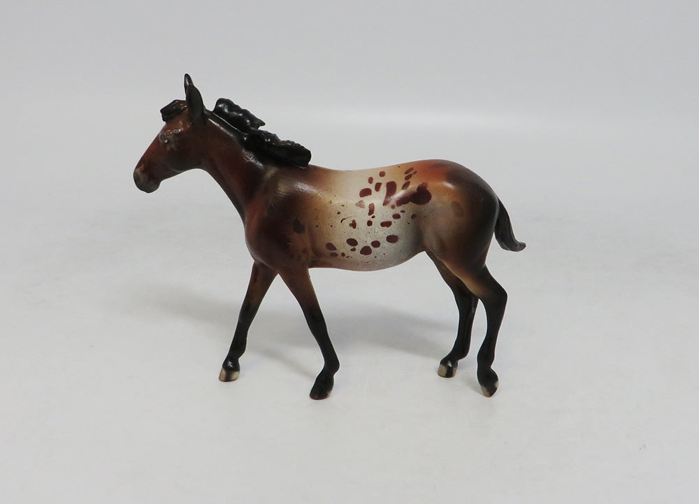 AMANDA  APPALOOSA-LE-10 CUSTOM BAY APPALOOSA MULE CHIP LHS 2018