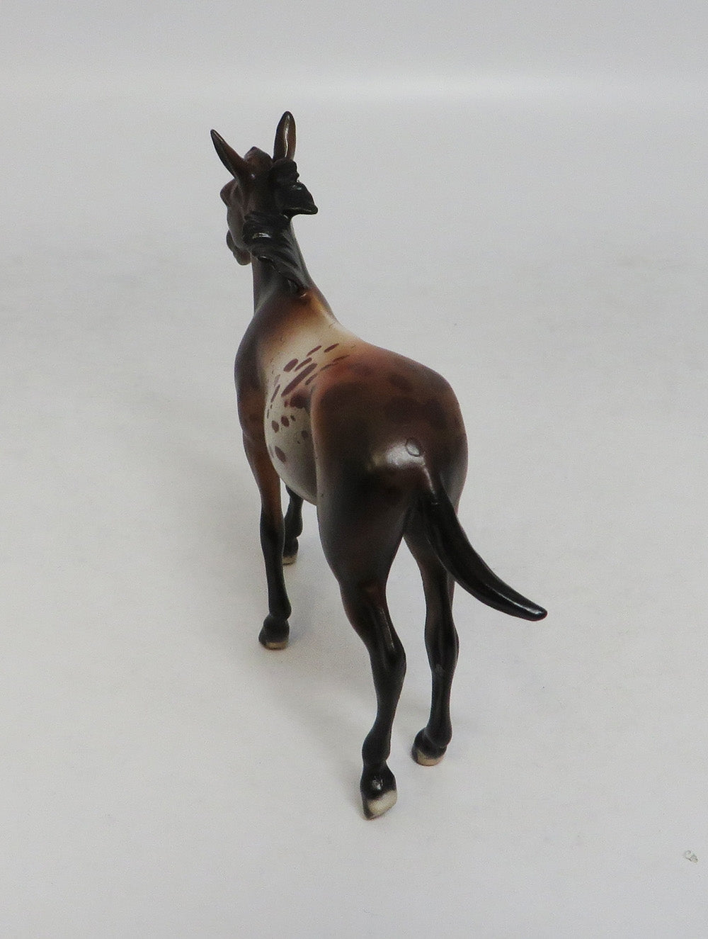 AMANDA  APPALOOSA-LE-10 CUSTOM BAY APPALOOSA MULE CHIP LHS 2018