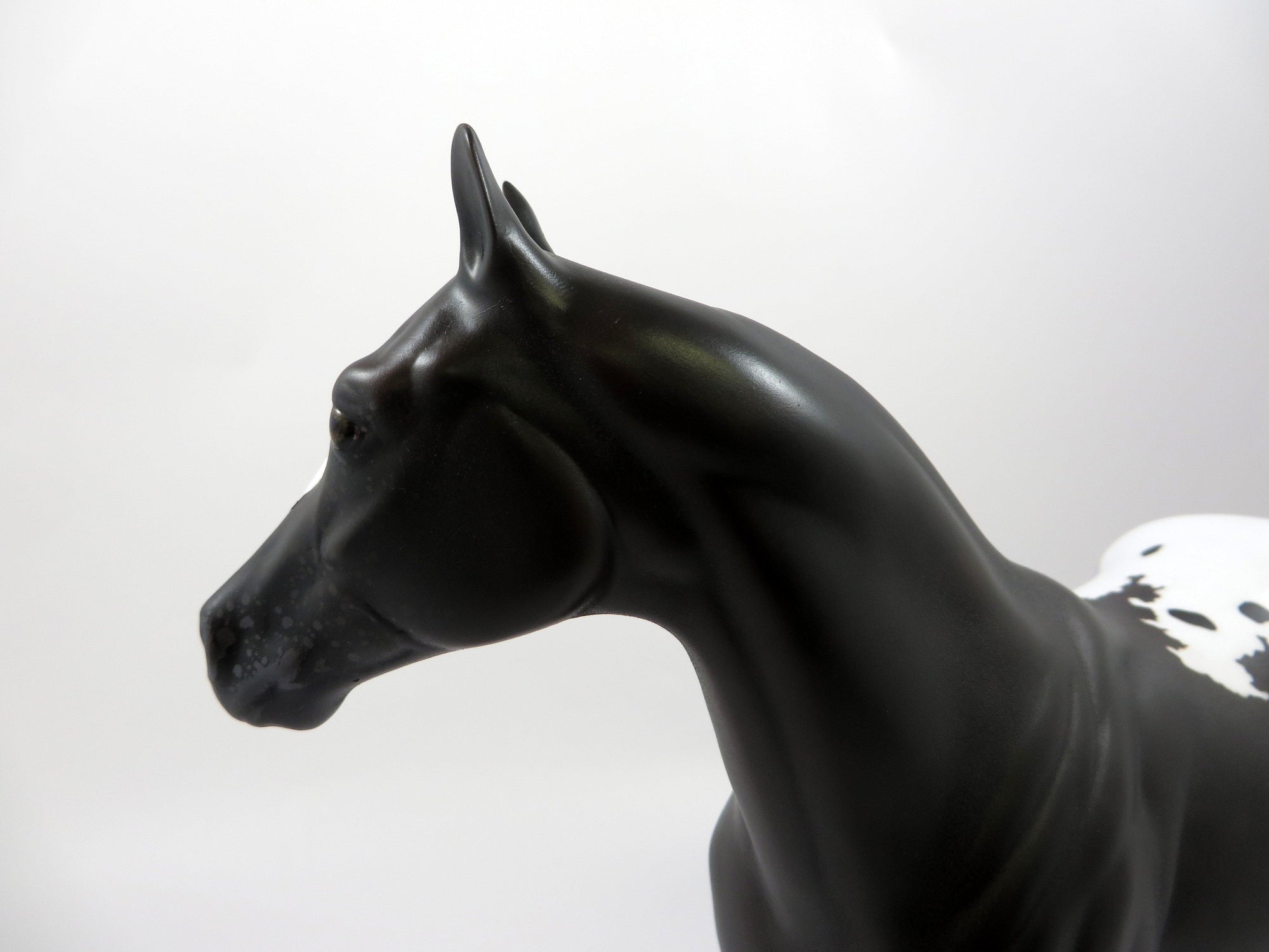 THRONE-OOAK BLACK APPALOOSA ISH MODEL HORSE EQ 2019