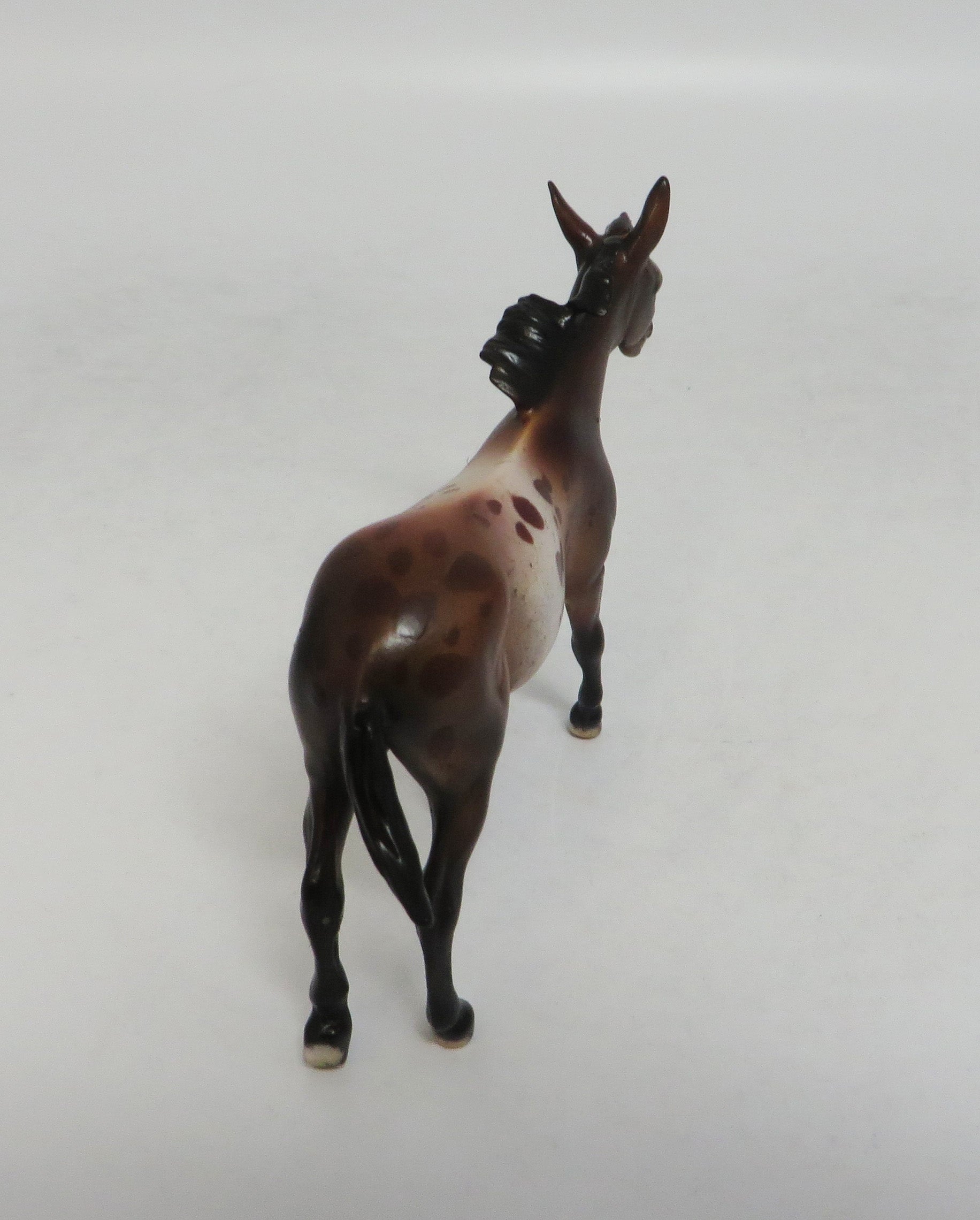 AMANDA  APPALOOSA-LE-10 CUSTOM BAY APPALOOSA MULE CHIP LHS 2018