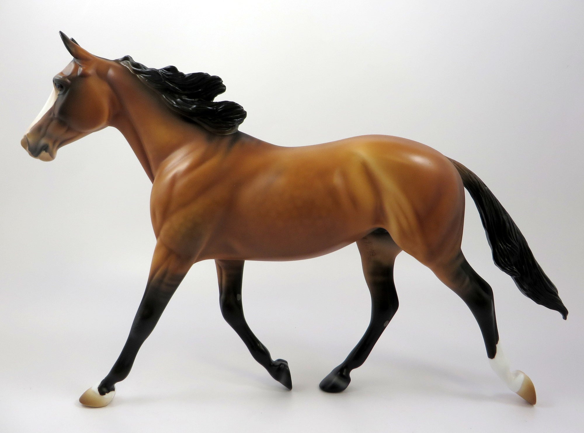 equilocity