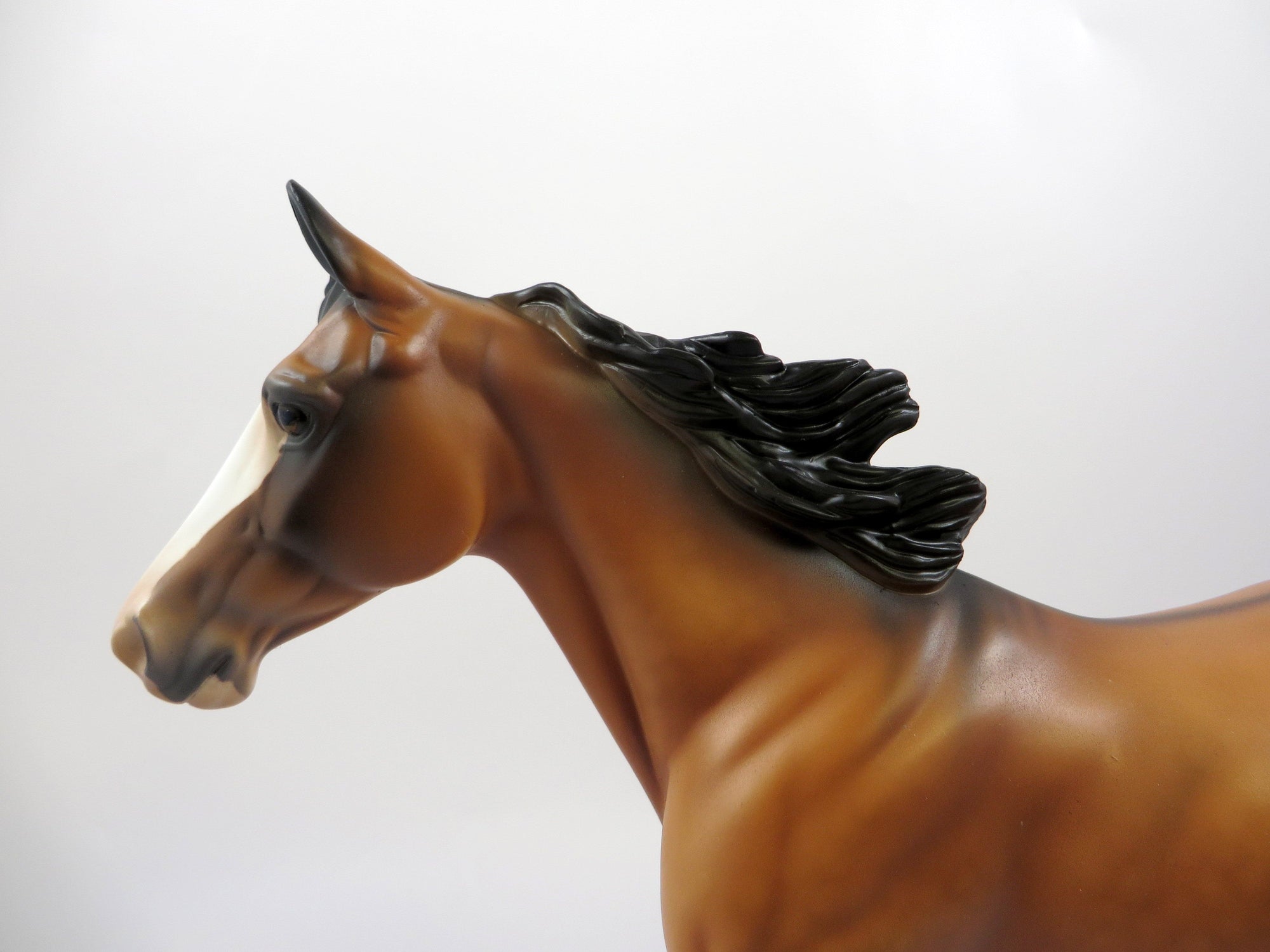 REGIUS-OOAK BUCKSKIN DUN PALOUSE MODEL HORSE EQ 19