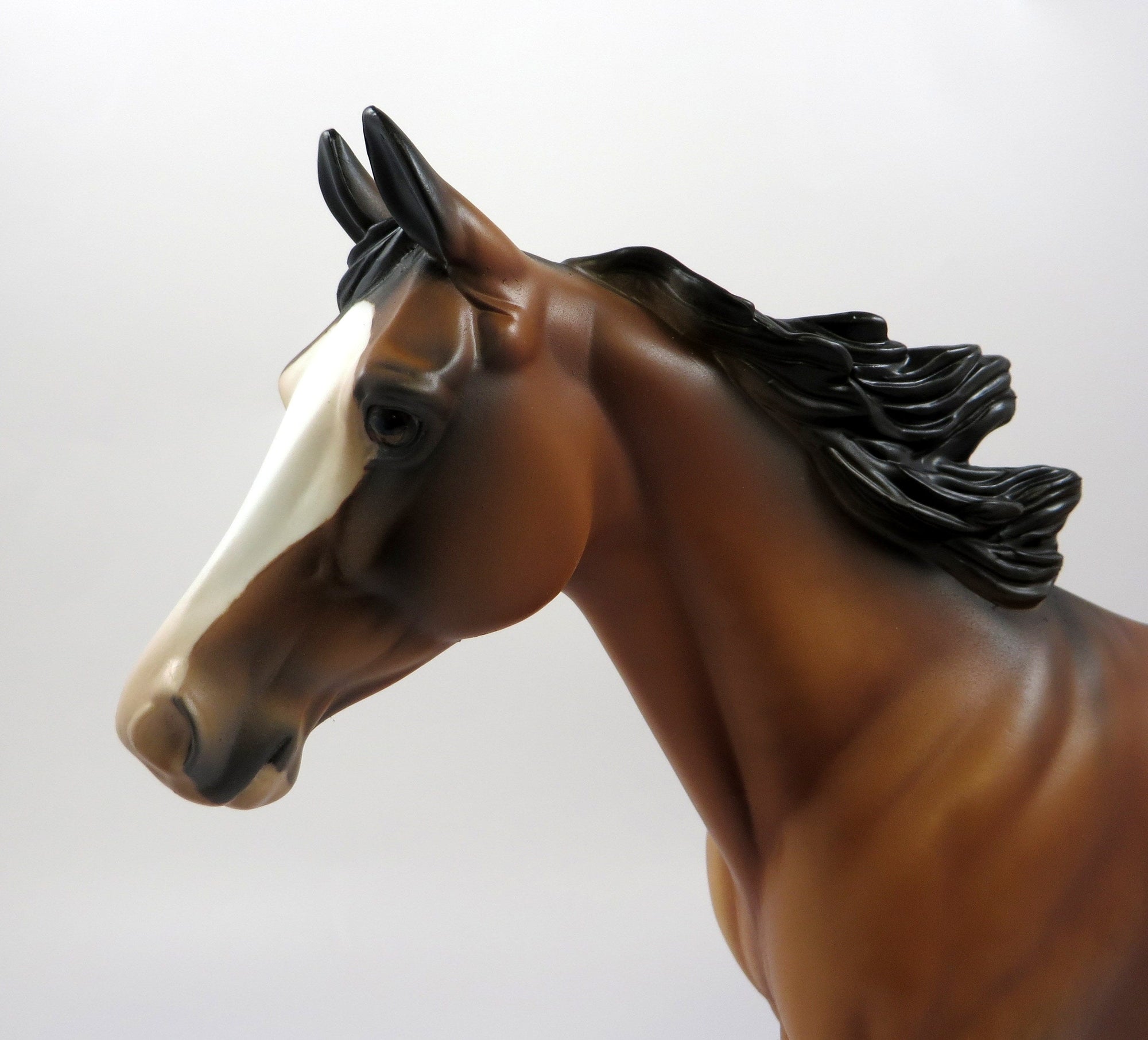 REGIUS-OOAK BUCKSKIN DUN PALOUSE MODEL HORSE EQ 19