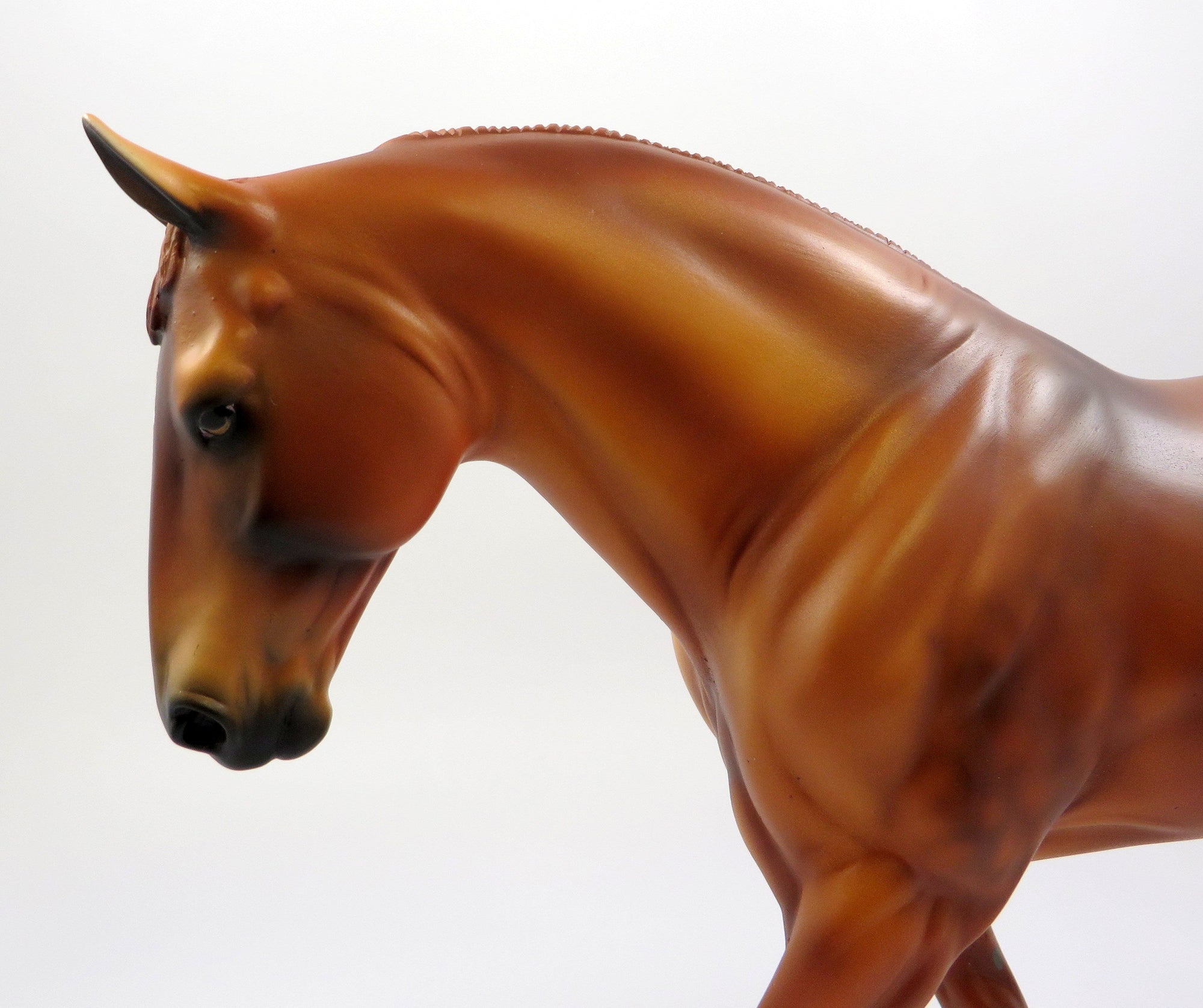 RIPPIN TIDES-OOAK DAPPLE CHESTNUT IRISH DRAFT MODEL HORSE 5/16/19