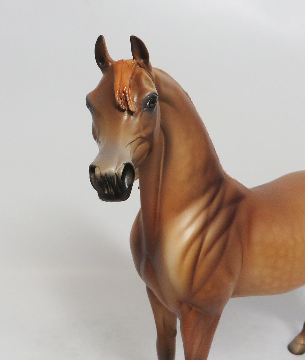 PRINCE JASMAR- OOAK DAPPLE CHESNUT ARABIAN CUSTOM MANE 8/31/2018