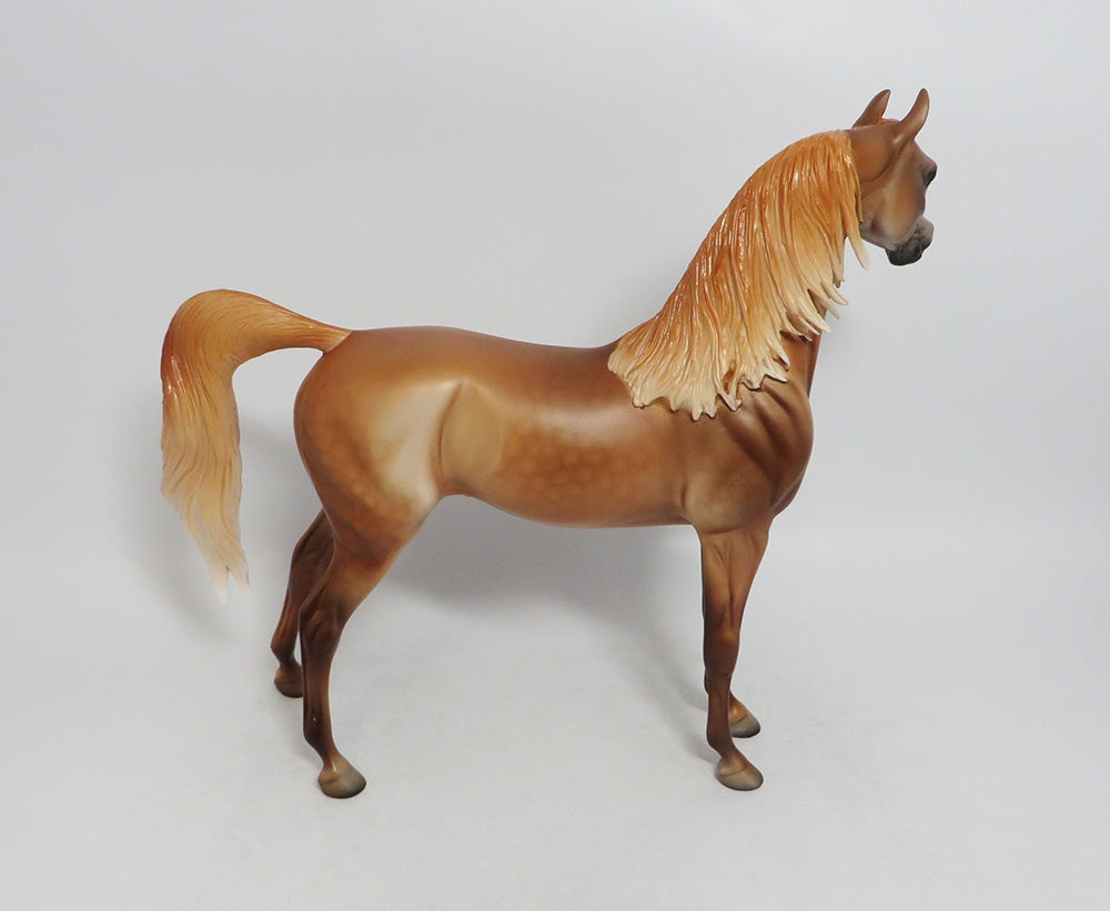 Chesnut Arabian 