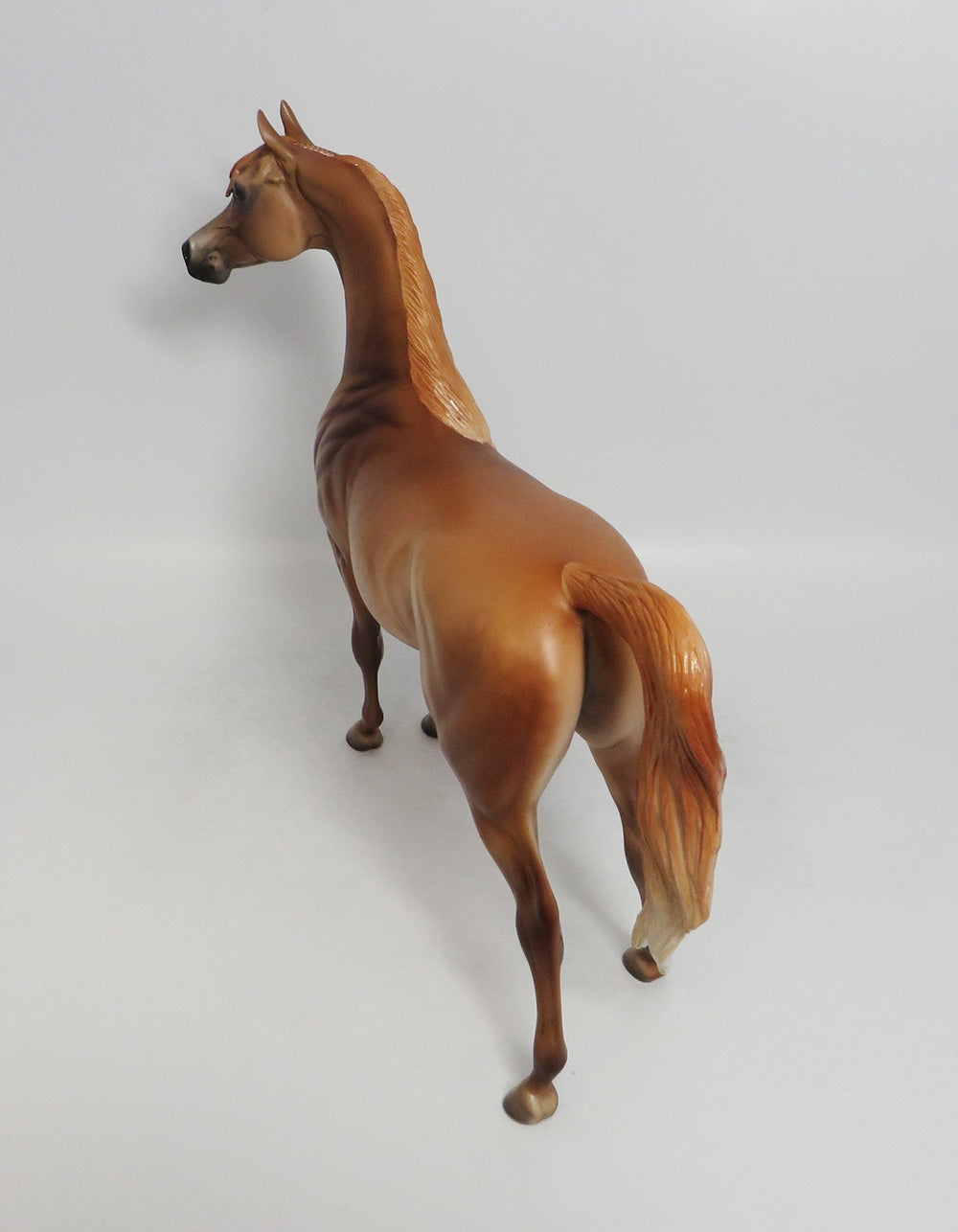 PRINCE JASMAR- OOAK DAPPLE CHESNUT ARABIAN CUSTOM MANE 8/31/2018