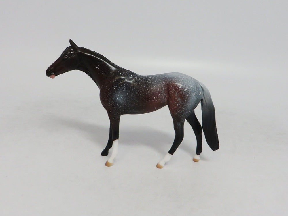 HOLD THE STARS- OOAK BAY APPALOOSA THOROUGHBRED CHIP 9/14/2018