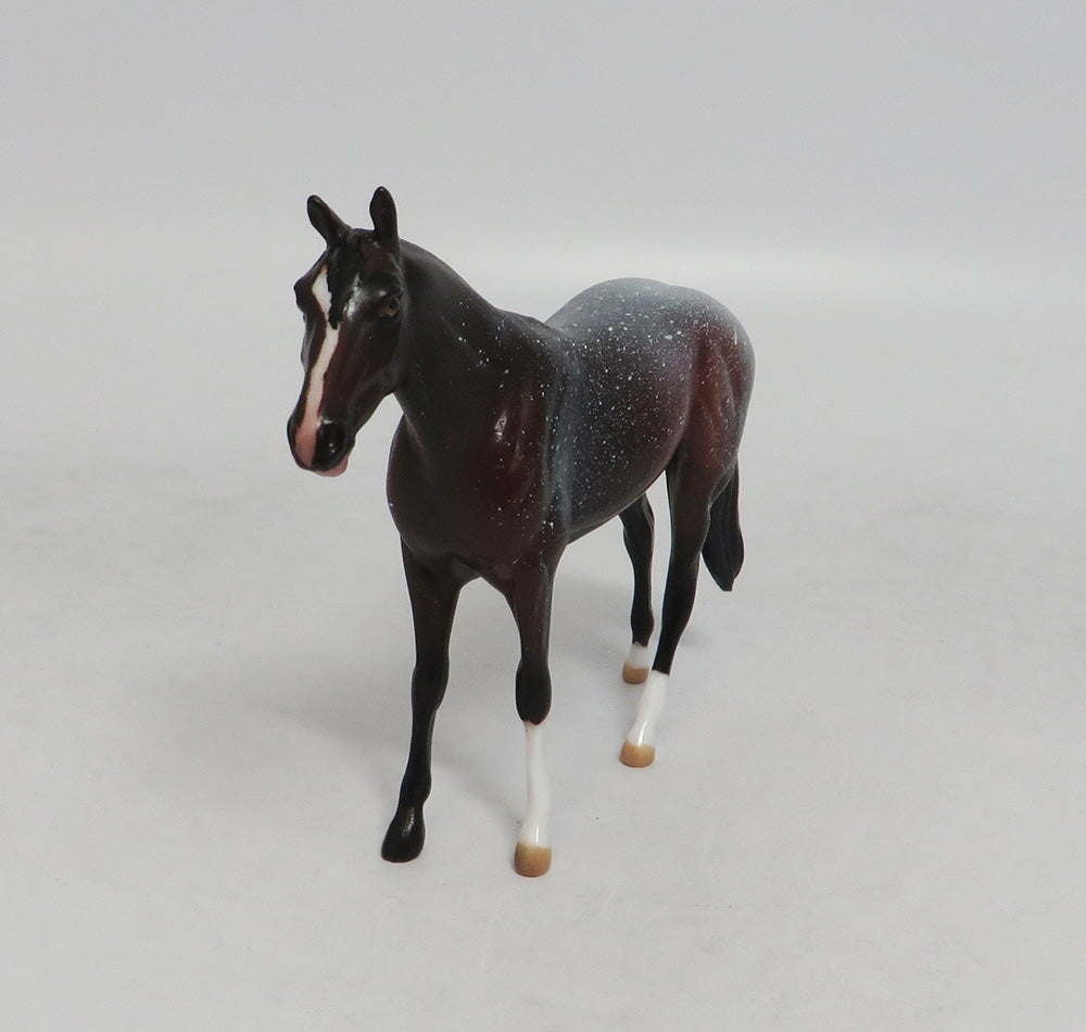 HOLD THE STARS- OOAK BAY APPALOOSA THOROUGHBRED CHIP 9/14/2018