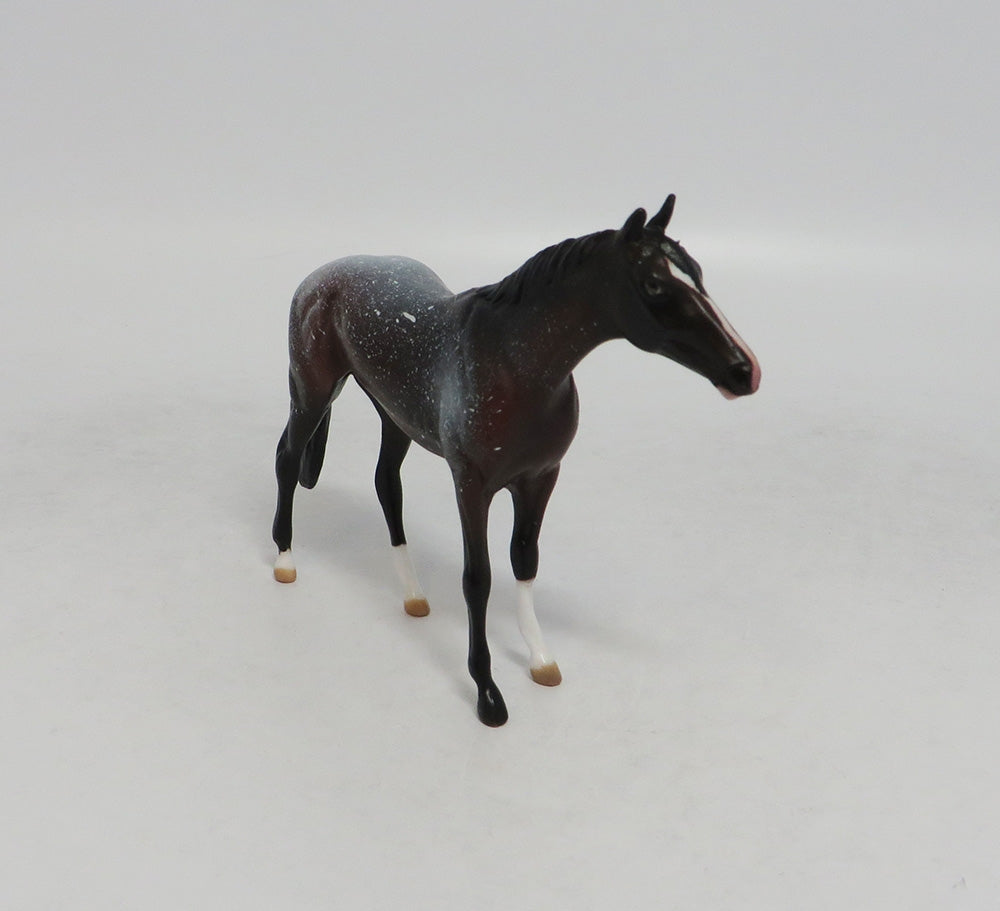 HOLD THE STARS- OOAK BAY APPALOOSA THOROUGHBRED CHIP 9/14/2018