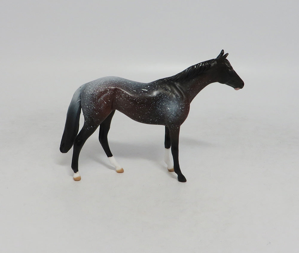 HOLD THE STARS- OOAK BAY APPALOOSA THOROUGHBRED CHIP 9/14/2018