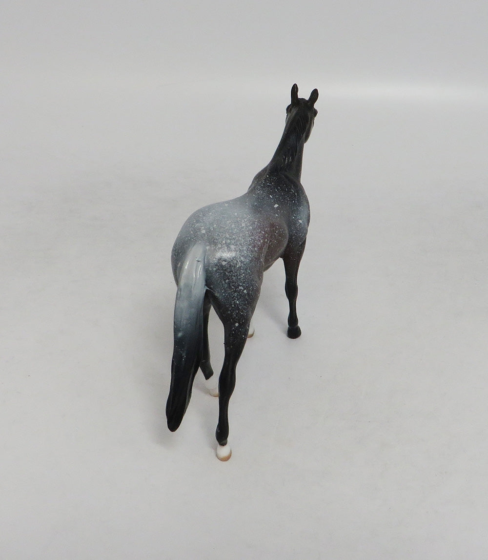 HOLD THE STARS- OOAK BAY APPALOOSA THOROUGHBRED CHIP 9/14/2018