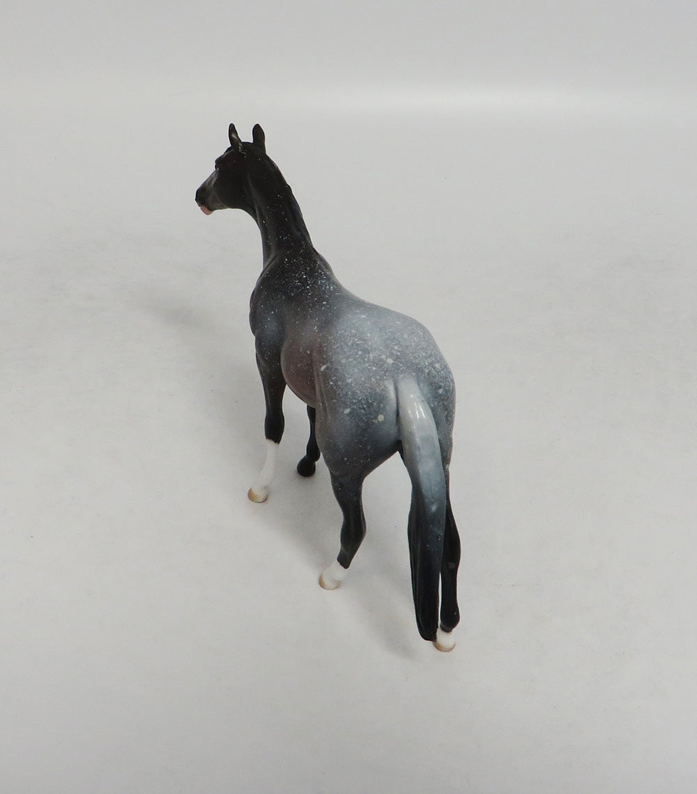 HOLD THE STARS- OOAK BAY APPALOOSA THOROUGHBRED CHIP 9/14/2018