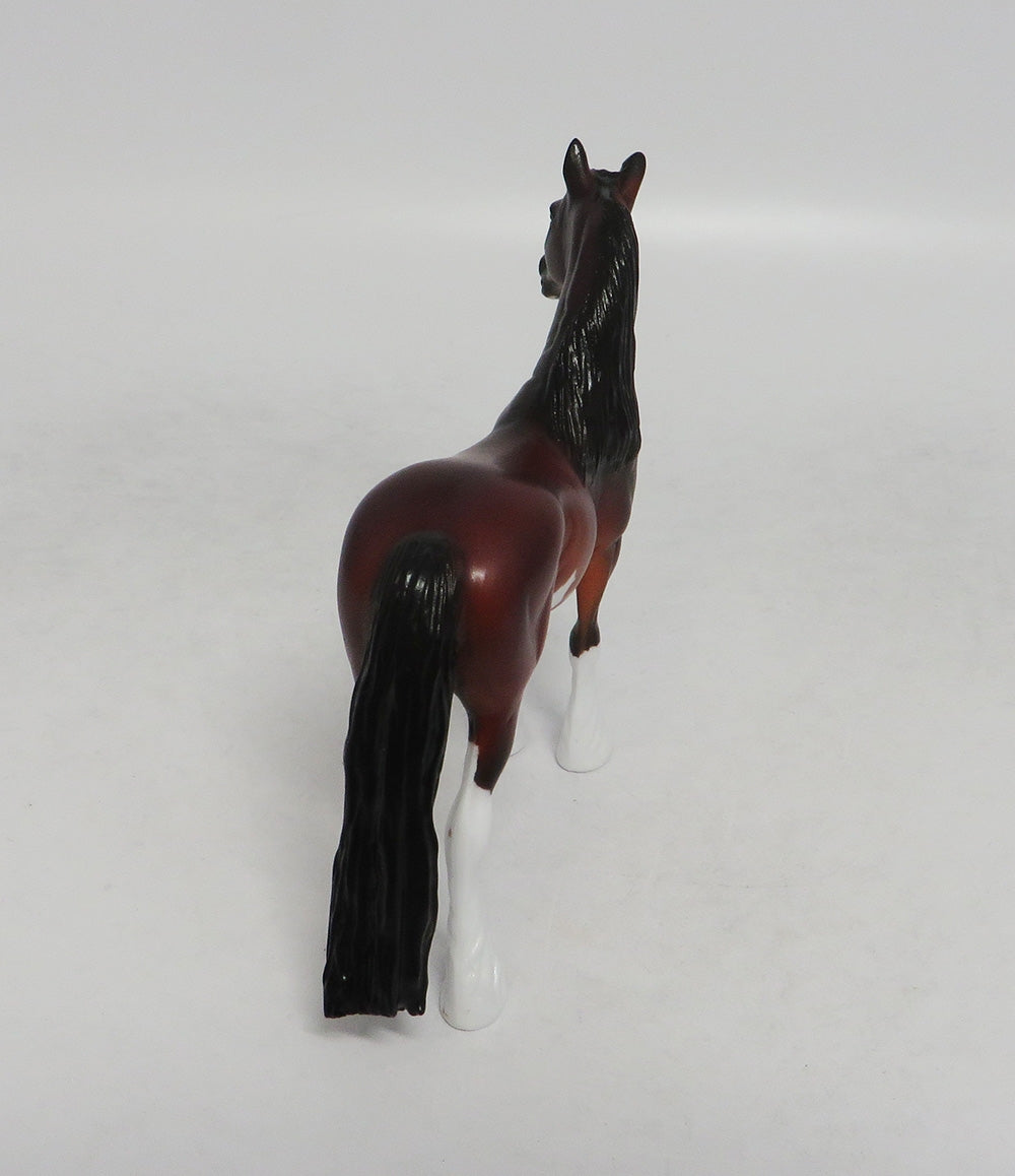 SHELBY SABINO-LE-10 CM BAY SABINO STANDING DRAFT CHIP BY AUDREY DIXON LHS 2018