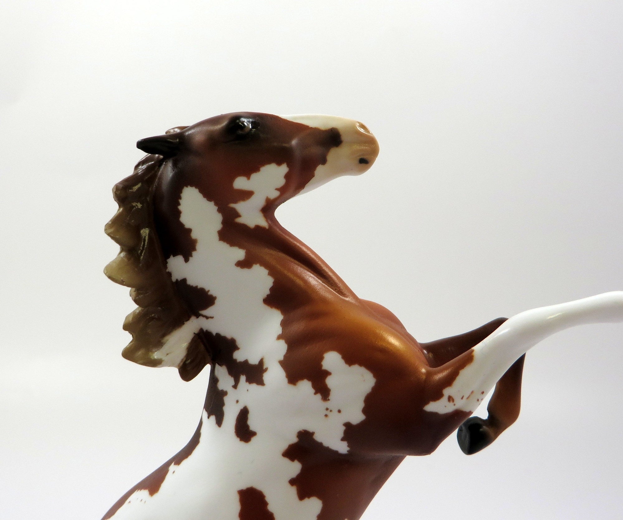 ON DEMAND -OOAK- FLAXEN CHESTNUT OVERO  REARING PEBBLE BY AUDREY DIXON 5/17/19