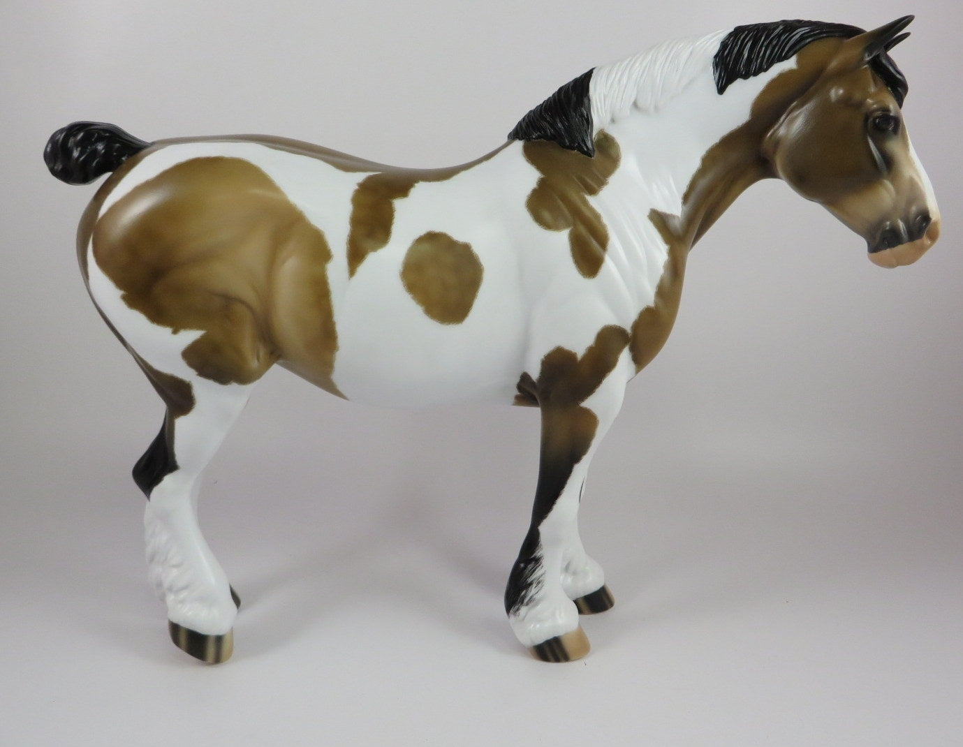 YOLANDA-OOAK DAPPLE BUCKSKIN PINTO HEAVY DRAFT MARE LHS 19