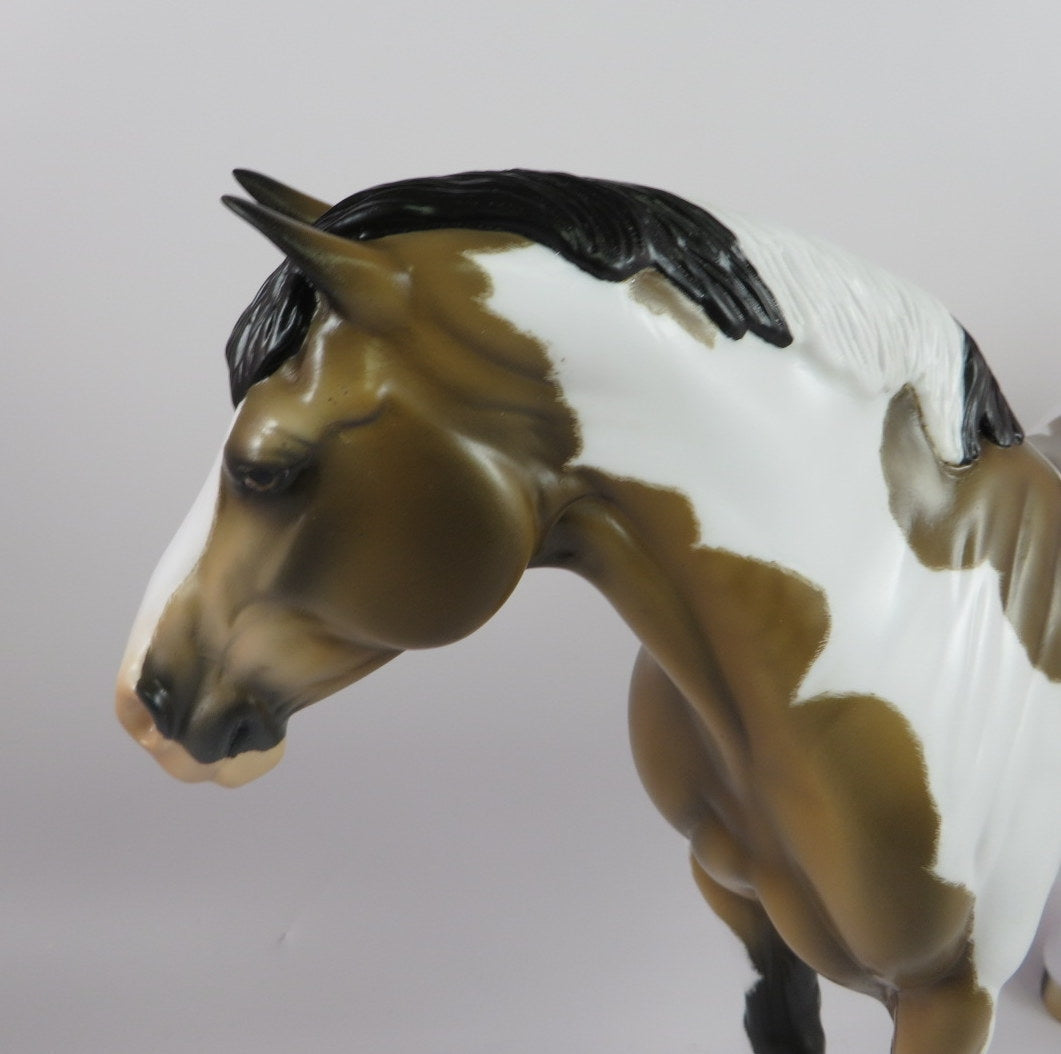 YOLANDA-OOAK DAPPLE BUCKSKIN PINTO HEAVY DRAFT MARE LHS 19