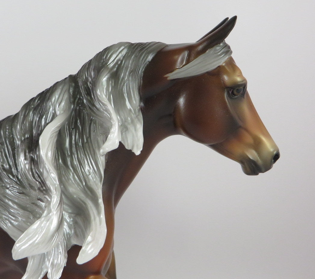 DARE DEVIL-OOAK DAPPLE SILVER BAY RUNNING QUARTER HORSE LHS 19