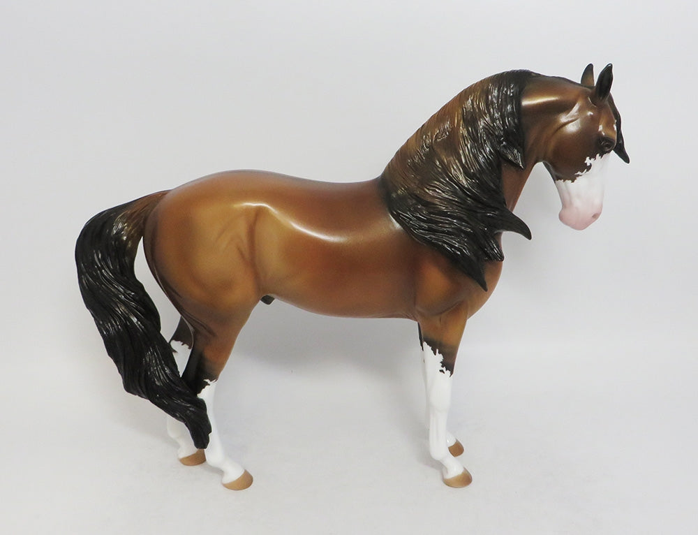 Andalusian 