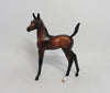 ARIA- OOAK BAY ARABIAN FOAL MODEL CM HEAD TURN 8/31/2018