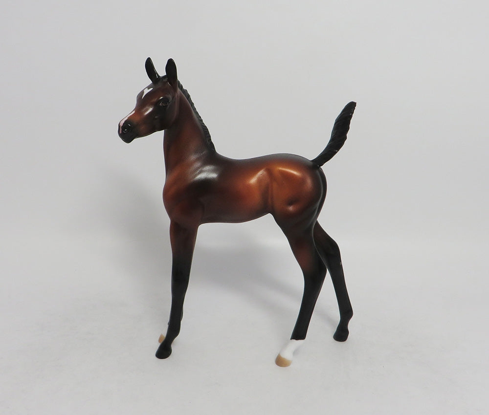 ARIA- OOAK BAY ARABIAN FOAL MODEL CM HEAD TURN 8/31/2018