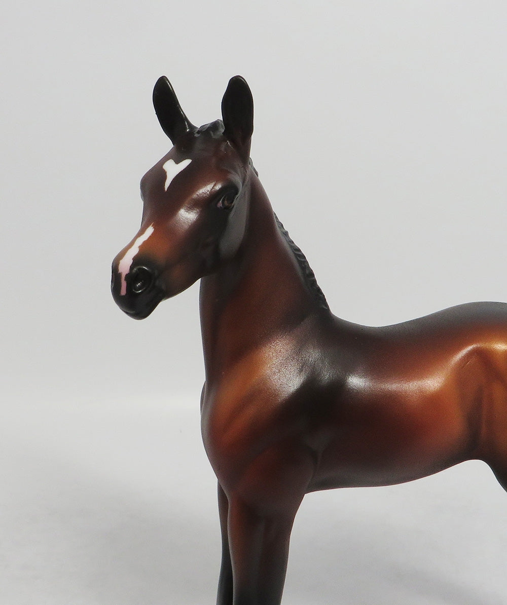 ARIA- OOAK BAY ARABIAN FOAL MODEL CM HEAD TURN 8/31/2018