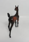 ARIA- OOAK BAY ARABIAN FOAL MODEL CM HEAD TURN 8/31/2018