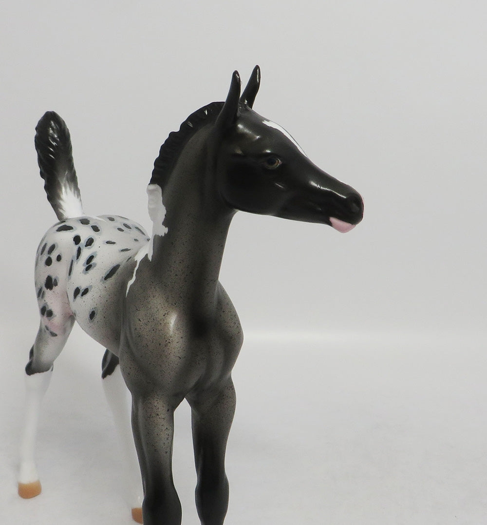 ALIKA- OOAK GRAY APPALOOSA  ARABIAN FOAL MODEL 8/31/2018