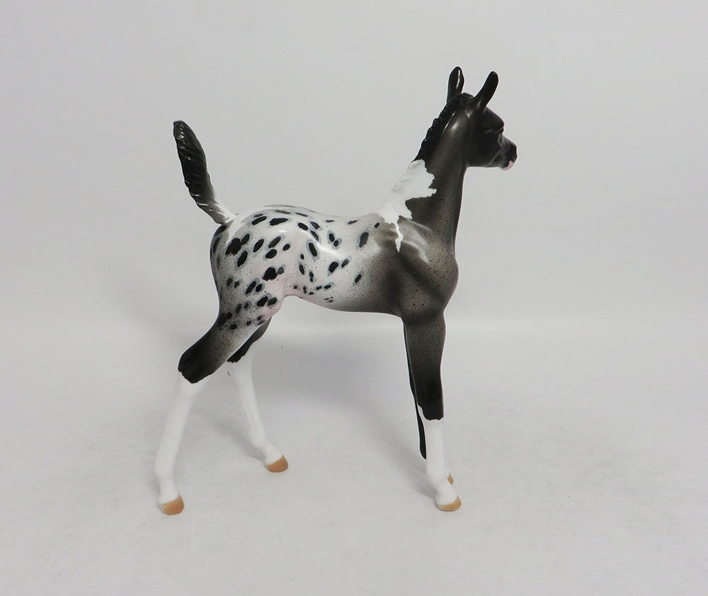 ALIKA- OOAK GRAY APPALOOSA  ARABIAN FOAL MODEL 8/31/2018