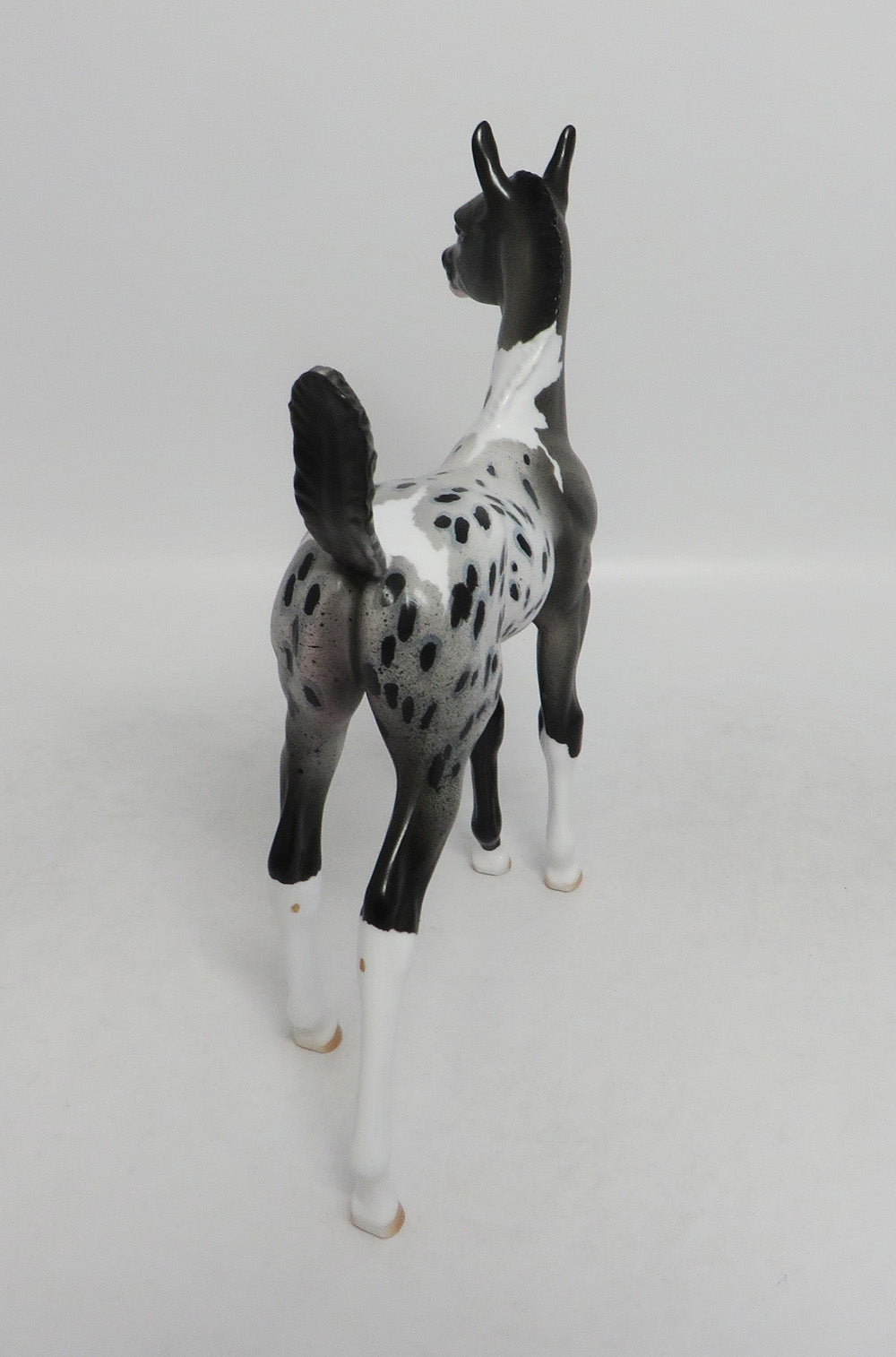 ALIKA- OOAK GRAY APPALOOSA  ARABIAN FOAL MODEL 8/31/2018