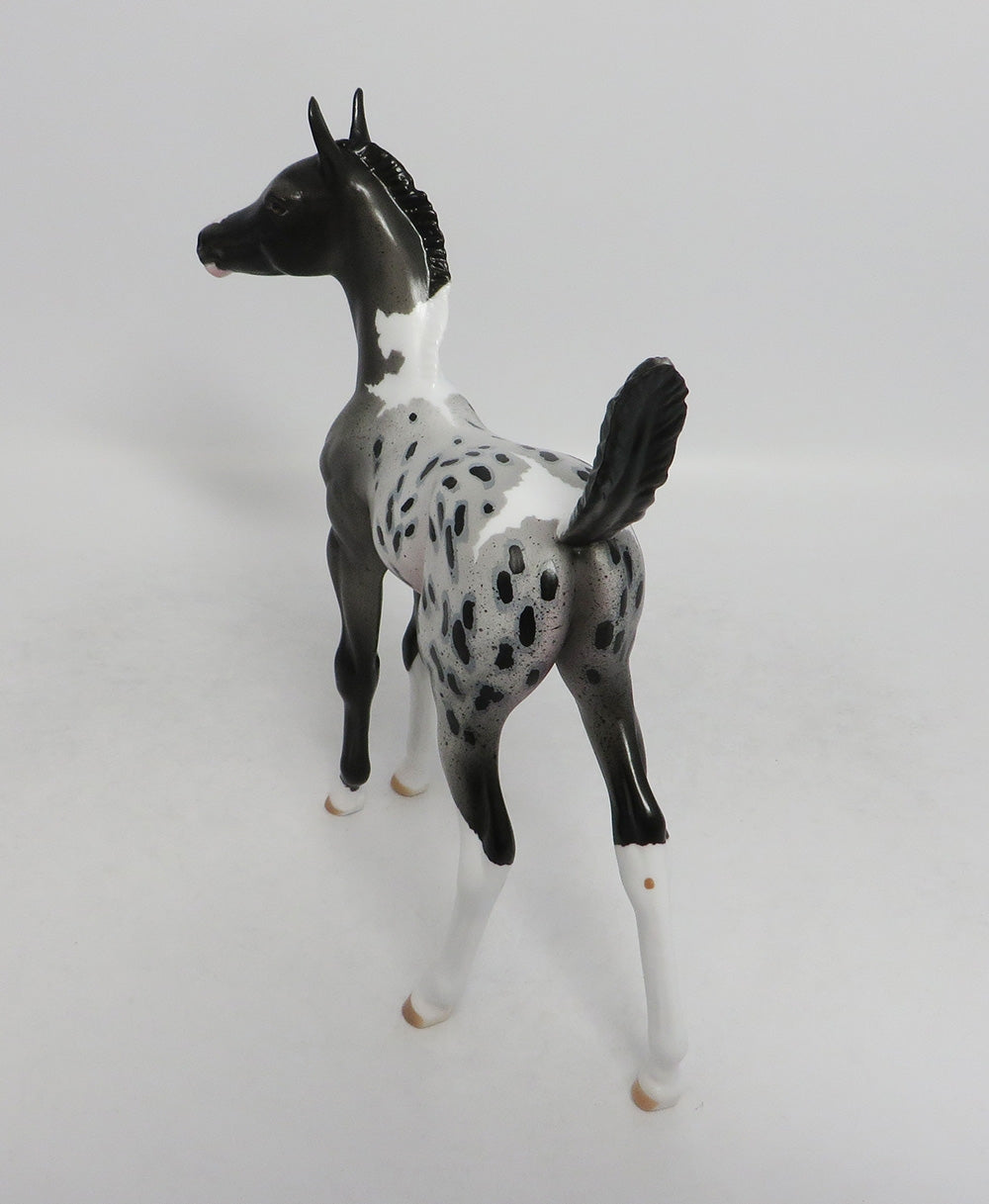 ALIKA- OOAK GRAY APPALOOSA  ARABIAN FOAL MODEL 8/31/2018