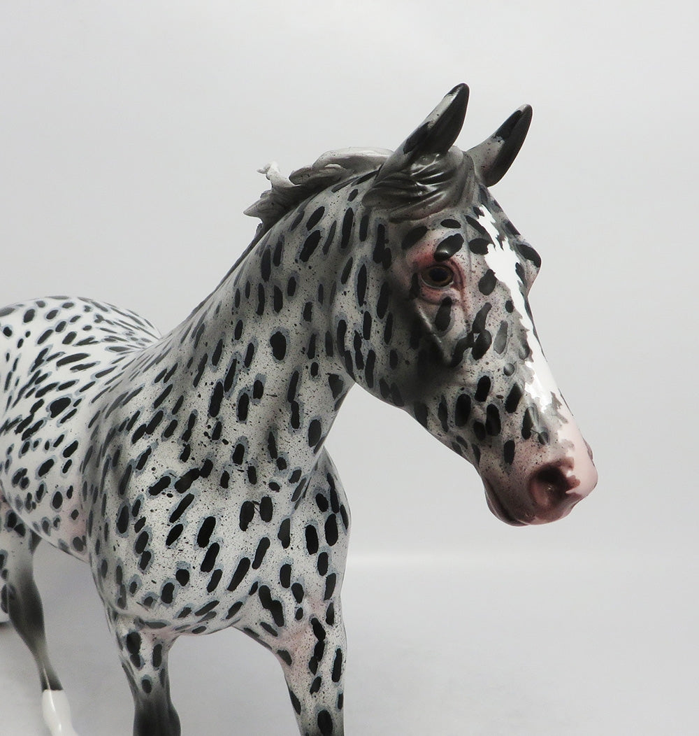 APPALOOSA