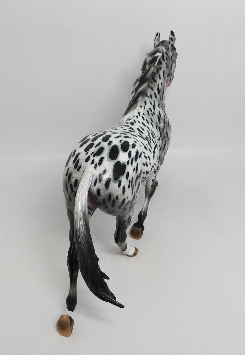 CRAZY TRAIN-OOAK LOUD APPALOOSA  PALOUSE MODEL HORSE 8/31/18