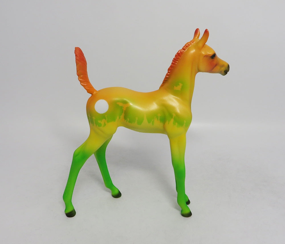 MORTICA-le-5 HALLOWEEN FOAL WITH GREEN POINTS 8/31/18