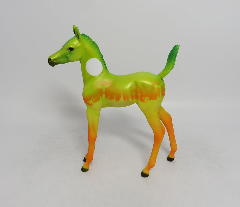 LATICIA-LE-5 HALLOWEEN FOAL WITH ORANGE POINTS 8/31/18