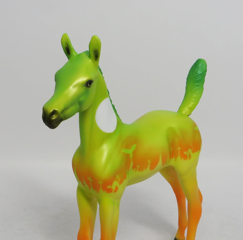 LATICIA-LE-5 HALLOWEEN FOAL WITH ORANGE POINTS 8/31/18