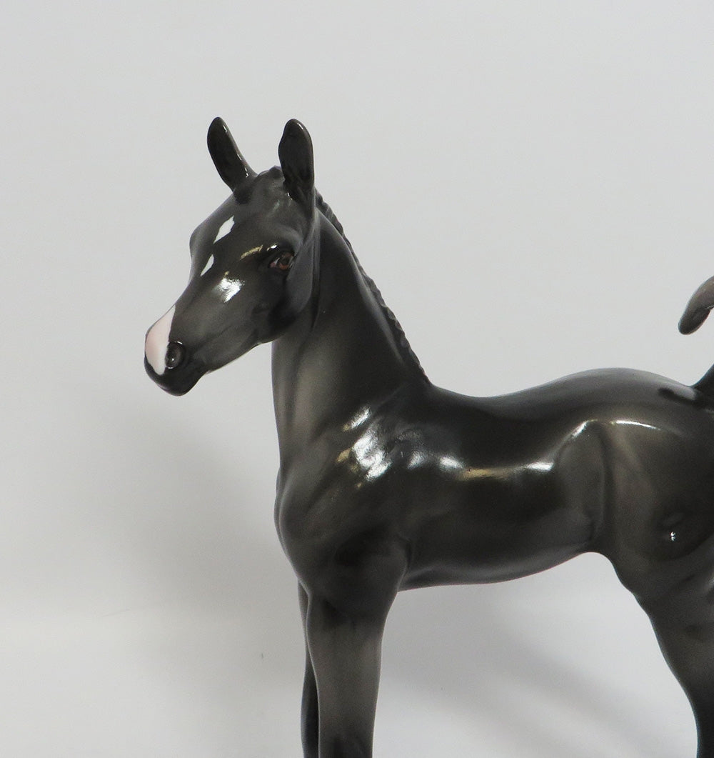 Black Foal 